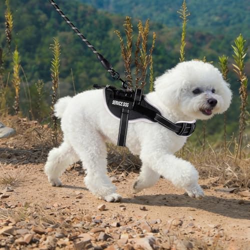 Service Dog Vest, No Pull Dog Harness Small Medium Sized Dog, Service Dog Harnesses and Leash Set, Reflective Easy Walk Do...