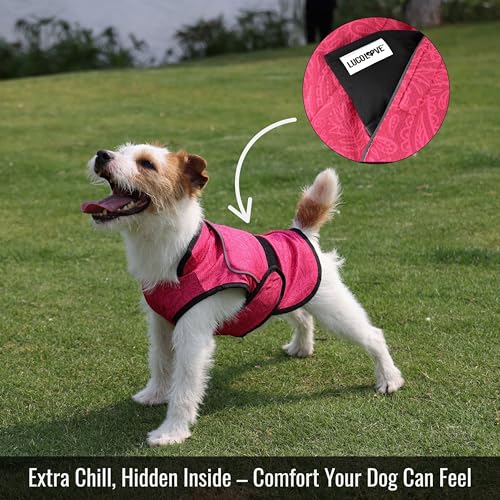 LUCOLOVE Replacement Ice Packs for Dog Cooling Vest – 2-Pack Reusable Gel Packs for Lucolove Cooling Vests – Soak, Freeze...