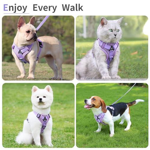 Jolifield No Pull Dog Harness with Leash Set for Small Sized Dog, Reflective Adjustable No Choke Front Clip Cat Vest Harne...