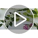5 Pcs Purple Wisteria Garland Artificial Flower Arch Floral Garland Decor Fake Hanging Flowers for Wedding Arch