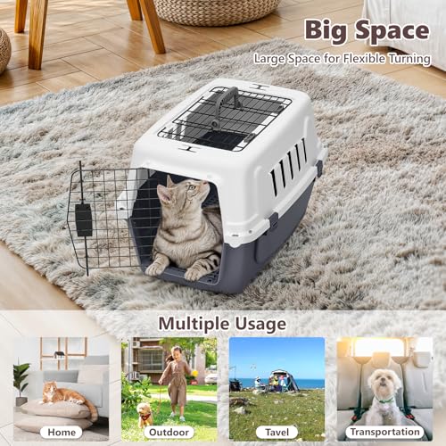Athena Collection 22" Hard-Sided Travel Pet Carrier for Small Dogs and Cats, Plastic Dog Crate with 2-Door Top & Front Loa...