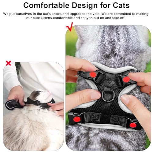 MingXpets Cat Harness and Leash for Walking, Retractable Cat Harnesses and Leash Set Escape Proof, Breathable Soft Kitten ...