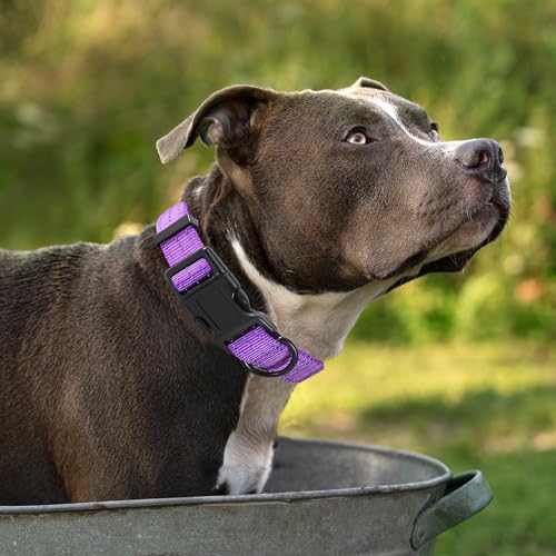 Mile High Life Night Reflective Double Adjustable Band Nylon Small Puppy Pet Dog Combo Collar Leash and Harness Set (Refle...