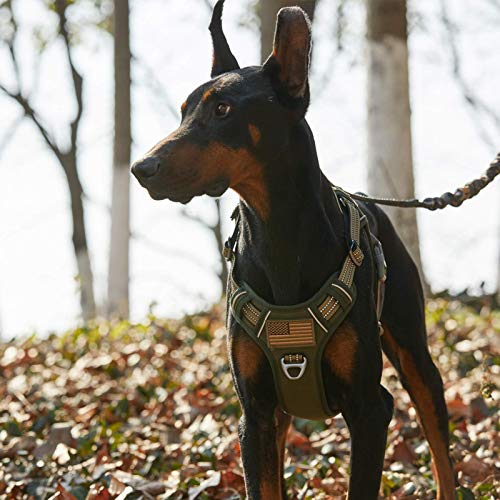 BUMBIN Tactical Dog Harness for Large Dogs No Pull, Famous TIK Tok No Pull Dog Harness, Fit Smart Reflective Pet Walking H...