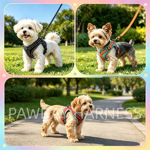PAWDAY No-Pull Dog Harness with Dog Leash Breathable Mesh Adjustable Soft Padded Pet Vest Reflective for Small/Medium/Larg...