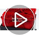 Graceful Fleurs Real Long Lasting Roses in a Box for Years, Preserved Fresh Forever Flowers for Delivery Birthday, Mothers...