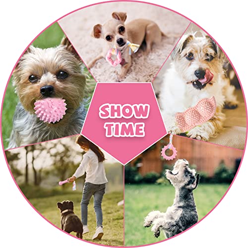ABRRLO 6 Pack Puppy Teething Toys Cute Pink Puppy Chew Toys for Teething Small Breed Dog Chew Toy Interactive Pet Toy Set ...