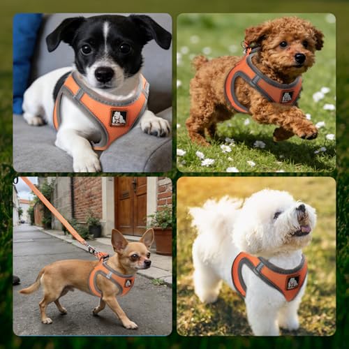 Dog Harness Medium Sized Dogs, Puppy Harness and Leash Set for Training, Running, Walking, Suitable for Small and Medium D...