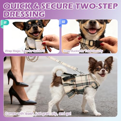EXPAWLORER Dog Harness Small Medium Sized Dogs, Daisy Dog Dress Bowknot Harness and Leash Set, No Choke No Pull Soft Mesh ...