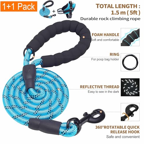 Haapaw Essential Dog Harness, No Pull Pet Vest with 3 Leash Clips, No Choke, Reflective, Adjustable and Padded, for Easy W...