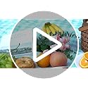 WILLOW WEAVE Picnic Blanket, 80''x80'' Waterproof Outdoor Blankets, Picnic Mat Washable for Beach, Picnic Blankets for Cam...
