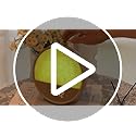 Vivilumens Wood Grain Sunrise Alarm Clock, Gentle Wake-Up Light Sound Machine, Dual Alarms for Heavy Sleepers, Natural Sou...