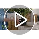 Nearly Natural 48in Artificial Dracaena with Real Touch Leaves and Multi Tonal Trunks, Large Indoor Silk Plant with Pot, M...