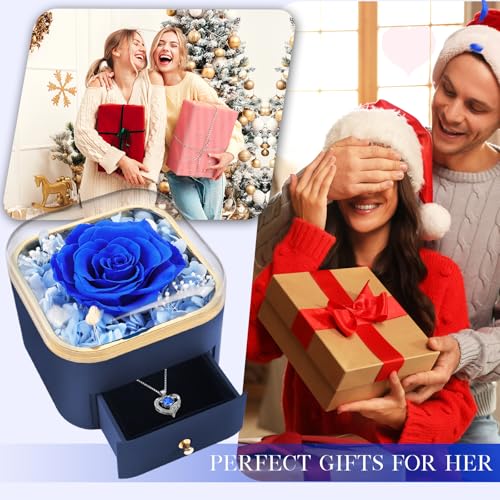Beferr Gifts for Mom Preserved Real Blue Rose with Necklace Eternal Roses Forever Flowers for Delivery Christmas Anniversa...