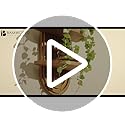 Bamworld Boho Wall Decor Brown Plant Wall Shelf Mid Century Modern Decor Hanging Plant Shelf 16.7in 2 Tier Wooden Floating...