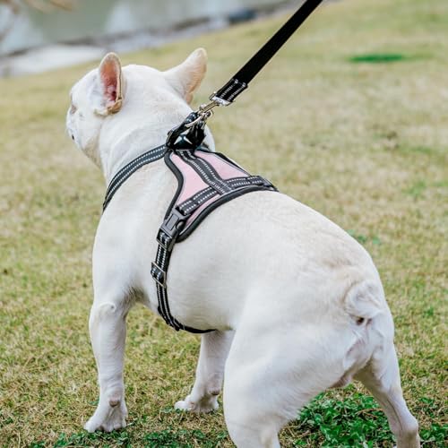 PUPTECK Dog Harness and Leash Set Medium Sized, Adjustable Reflective Escape Proof Puppy Vest, No Pull Walking Harness Eas...