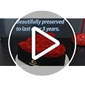 Cyrabota 16 Preserved Roses in a Box, Preserved Flowers Gifts for Women, Forever Flowers for Delivery, Flower Birthday Gif...