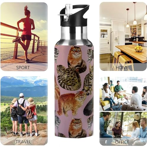 Xinvast Cat Water Bottle Adult Kids With Straw Lid Insulated Stainless Steel Travel Mugs for Sport Gym Outdoor 20oz