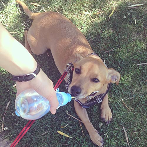 Choco Nose Patented Portable No-Drip Travel Water Bottle/Feeder for Dogs/Puppies/Cats/Rabbits and Other Small Sized Animal...