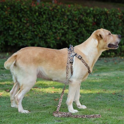 Olahibi Harness and Leash Set, Leopard Pattern, 5ft Matching Leash, No Pull, Easy Wear for Small Puppy Dogs.(XS, Brown Leo...
