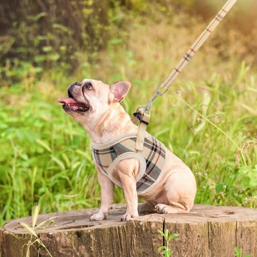 PUPTECK Soft Mesh Dog Harness and Leash Set Step-in Plaid Puppy Padded No Pull Vest Harness for XS Small Sized Dogs Cats O...