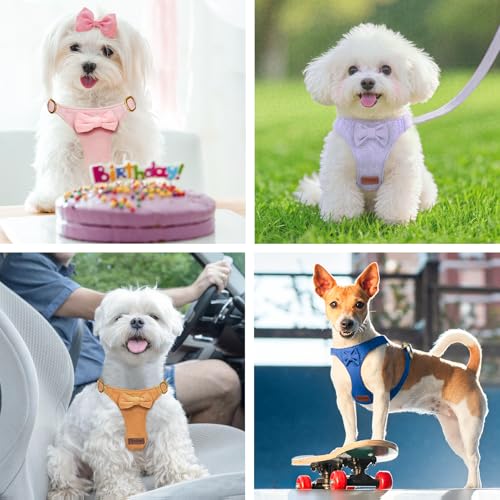 Tewiwap No Pull Small Dog Harness and Leash Set, Adjustable Puppy Harness for Extra Small XS XXS Girl Dogs, Soft Suede No ...