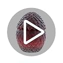 Department 56 Game of Thrones Drogon's Egg Keepsake Holder Trinket Box, 4.92 Inch, Red
