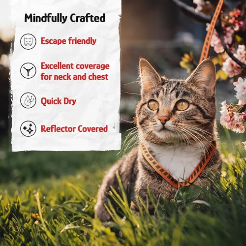 Filbert Cat Harness and Leash Set with Reflective Strip, Thin Cat Harness Escape Proof with Leash, Step-in, Adjustable, In...