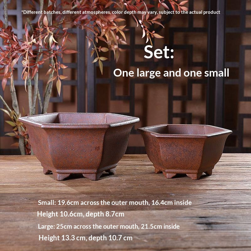 Green Plant Succulents Indoor Desk Purple Clay Flower Pot