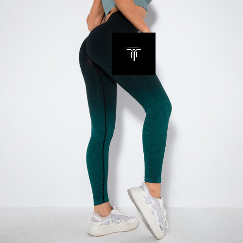 New Gradient Seamless Quick Drying Yoga Pants