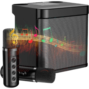 Wireless Bluetooth Karaoke Home Echo System Singing Machine Dual Mic Speaker AU