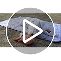 Premium Cooling Dog Blanket,Ultra-Soft & Lightweight Reversible Throw for Dogs,Washable Pet Throw Blanket with Q-MAX>0.4 f...