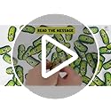 DEARMINE 60 Positive Pickle Cards Jar, Graduation Gifts, Mothers Day Birthday Gifts for Mom, Women, Coworkers, Adults, Tea...