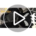 Shovagy Trippy Happy Face Rug Cool Rugs Tufted Quick Dry Bath Mats for Bathroom Non Slip Bath Mat Water Absorbent 2.6FT Bl...