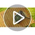 20000mAh Portable Fan Rechargeable with Solar Panel 2-in-1, 3 Speeds Cordless Battery Powered Fan with Led Lantern,Timer, ...