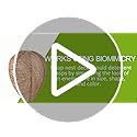 4 Pack Wasp Nest Decoy Hanging Wasp Nest Stay Away from Wasps Hornets Yellow Jackets