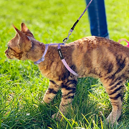 TIESOME Cat Harness and Leash Set, Adjustable Gradient Kitten Harness Escape Proof Harness with Leash for Kitty Outdoor Wa...