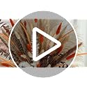 Orange Dried Pampas Grass Bouquet, 17 Inch, Bunny Tail,Eucalyptus,Natural Dried Floral Arrangement for Boho Rustic Wedding...