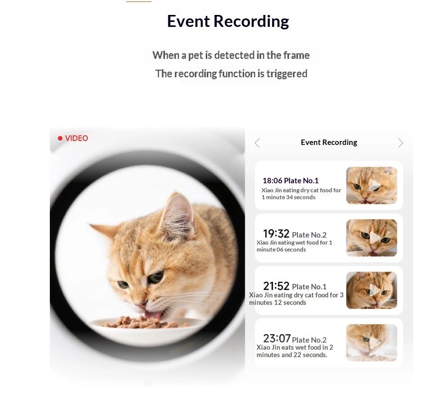 Smart Cat Feeder AI Facial Recognition Multi Cats Video Camera Gen Works For EU, US, UK, And AU