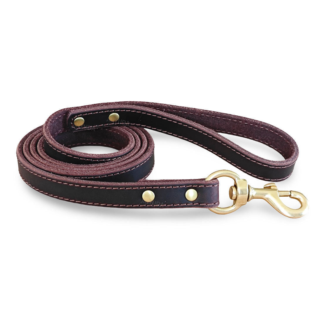 Pet Rope Dog Leash Genuine Full-grain Leather Rope Brass