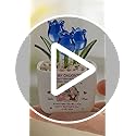 Wrappiness Glass Everlasting Tulips Pot for Women Personalized Gifts - Glass Flowers Decor, Birthday Gift for Daughter fro...