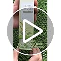 Herbal Diffuser Pen, Detox Diffuser with Mullein, Thyme & Mint for Better Breathing, All Natural Swap - Up to 600 Uses (Va...