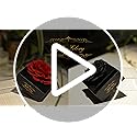 Fresh Cut Flower Preserved Peony for Women Mom Wife Girlfriend - Flower Gift Real Peony Decor for Mother's Day Valentine's...