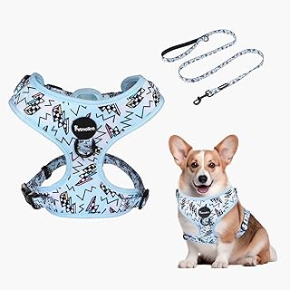 Petmolico Dog Harness and Leash Set Soft Mesh Small Dog Harnesses Vest No Pull Dog Vest Puppy Harness and Leash Set Traini...