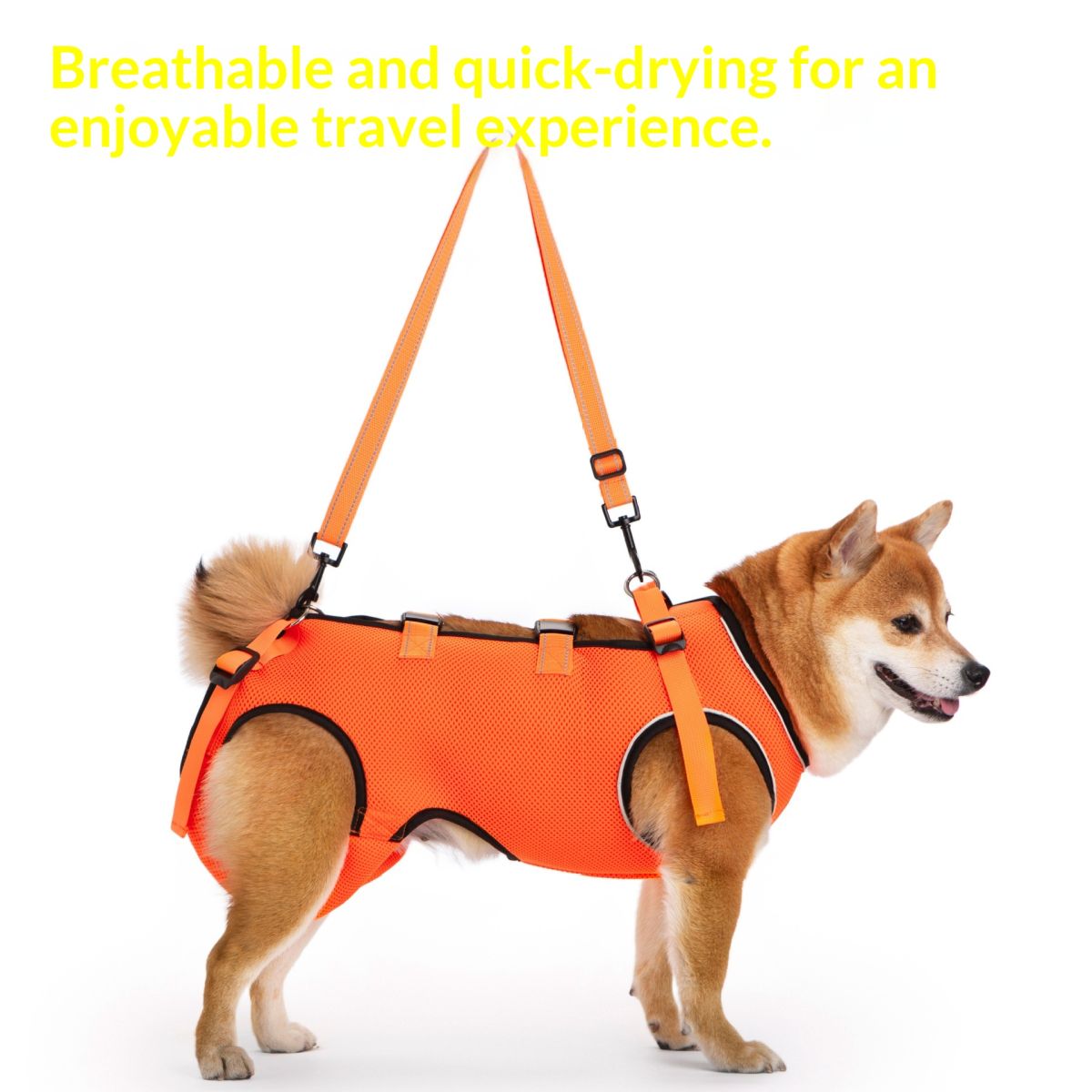 Pet-assisted Clothing For Senior Dogs