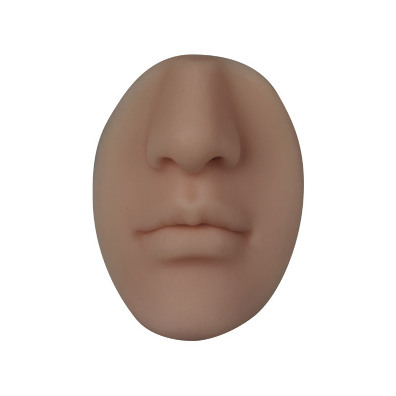 Practice Leather Makeup Simulation Lip Model Tool