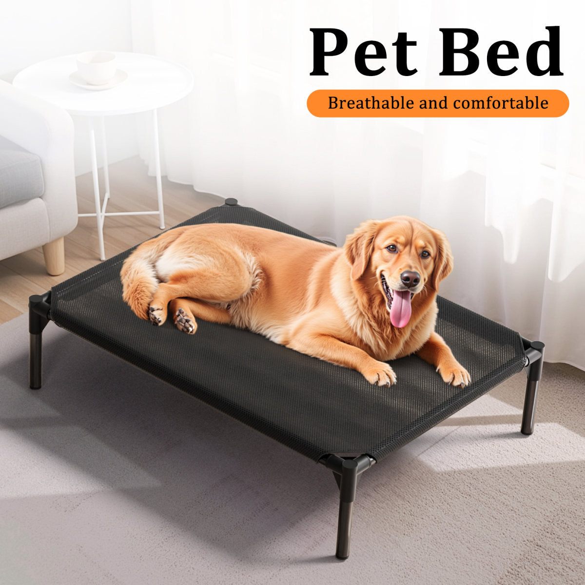 Only Self Pickup---Pet Bed