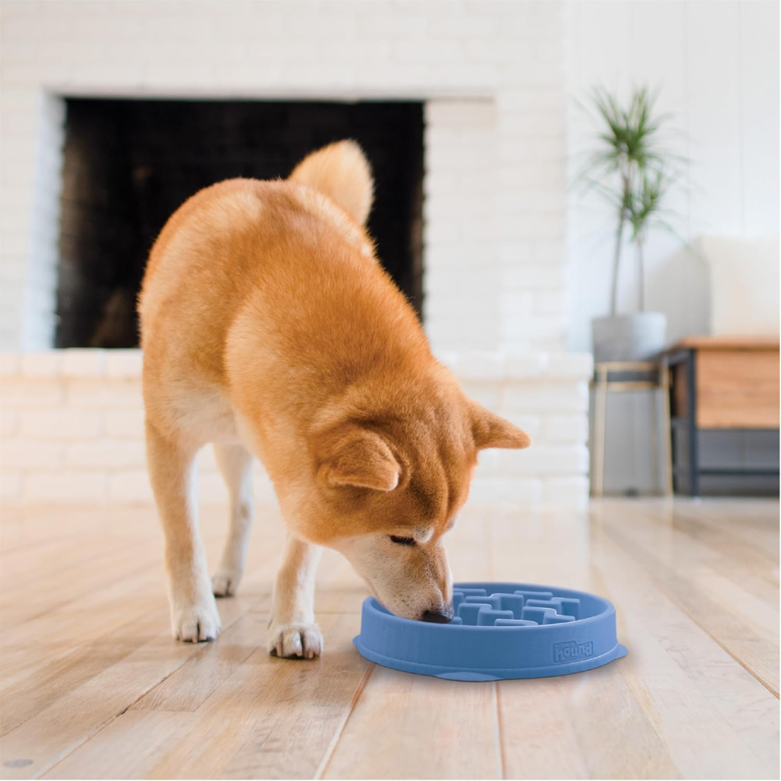 Feeder Slo Bowl Medium 2Cup Capacity, Slow Feeding, Small To Medium Dogs Cats, Non Slip, Blue, Notch Pattern
