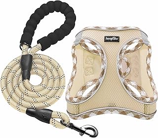 haapaw Dog Harness with Leash Set, No Pull Adjustable Reflective Step-in Puppy Harness with Thickened Padded Vest for Extr...