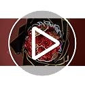 Thiccywoov 24 Pcs Glitter Roses Bouquet Artificial Rose DIY Flower Bouquet Kit Flower Wrapping Paper 3D Butterflies Crowns...